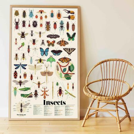 Sticker-Poster Insekten