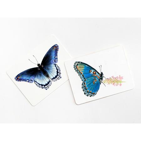 Memory Schmetterlinge und ihre Flgel