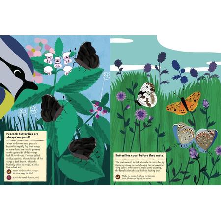 Stickerbuch Schmetterlinge