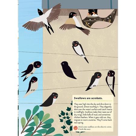Stickerbuch Vögel