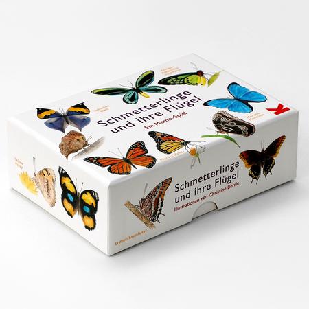 Memory Schmetterlinge und ihre Flügel