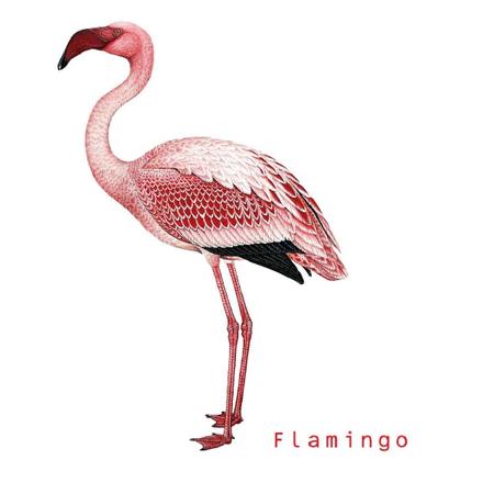 baba: T-Shirt Flamingo rot